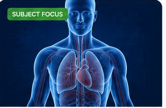 Biology anatomy visual for subject focus article